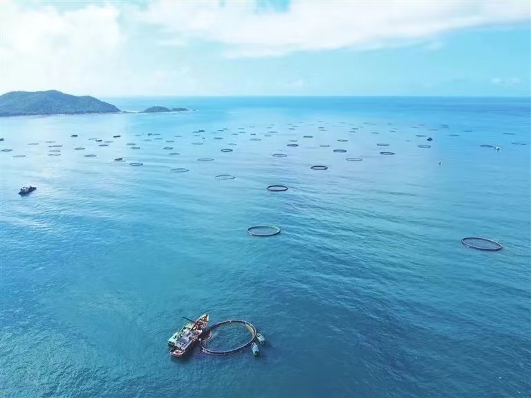 再攀新高！三亞農(nóng)投海洋產(chǎn)業(yè)有限公司成功入選